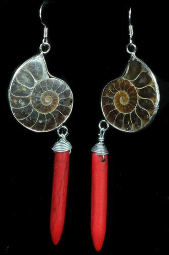 Fossil Ammonite Earrings - Sterling Silver #38145